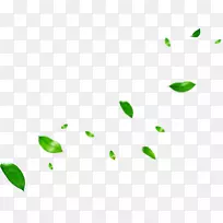 叶剪贴画png图片植物茎图像-叶