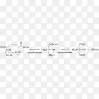 羟醛缩合百科全书催化醛固酮反应酸缩合反应