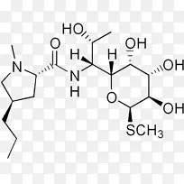 林可霉素b林可酰胺结构化学.益生菌标志