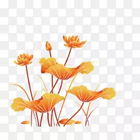 神圣莲花png图片下载图像设计-黄色植物