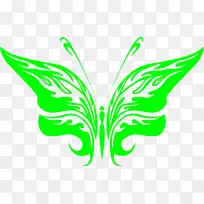 蝶形图AUTOCAD DXF图像绘制-蝶形图