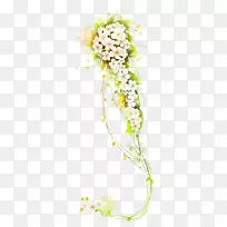花卉图形插图图像png图片.花卉藤本图案