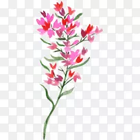 水彩画花卉设计花卉png图片图片-博客