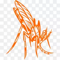 插画甲虫图形蚂蚁甲虫