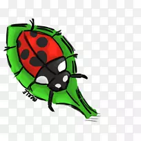 甲虫剪贴画叶膜昆虫甲虫