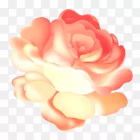 花园玫瑰插图图片粉红色设计-粉红色喷射器