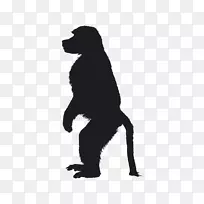灵长类猿猴形象猴子