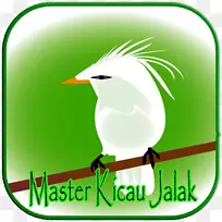 剪贴画喙标志品牌android-jalak umum