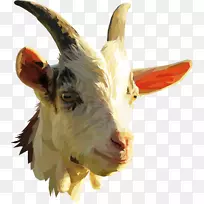 尼日利亚侏儒山羊png图片剪辑艺术西班牙山羊羊