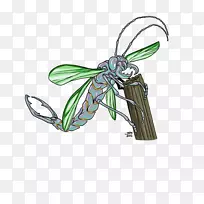 昆虫蝴蝶传粉器产品设计-昆虫