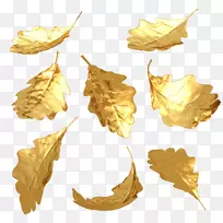 金叶摄影，镀金剪贴画.黄金