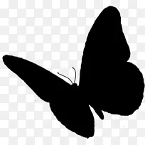 蝴蝶昆虫可伸缩图形计算机图标png图片