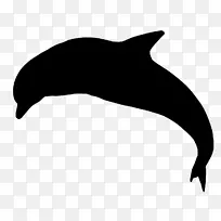 海豚海狮海豚剪贴画