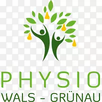 物理治疗Wals-Siezenheim最佳理疗运动理疗-Tui na-奥地利电子商务