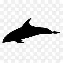 海豚鲸鱼剪艺术动物