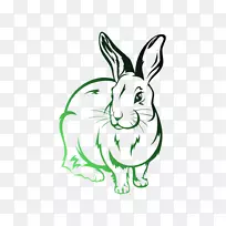 兔画图像插图