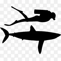鲨鱼剪贴画动物线轮廓