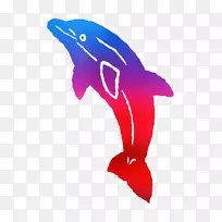 海豚粉红m字形鳍鱼