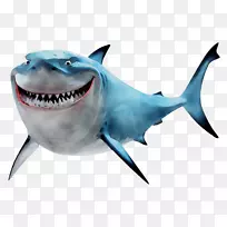 布鲁斯大白鲨png网络图片发现尼莫