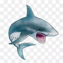 虎鲨大白鲨明斯克价格温室