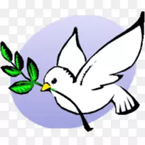 鸽子作为象征，橄榄枝，剪贴画，和平图像.RCIA符号