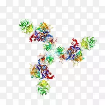 ddb 2 dna结合蛋白dna结合域基因组学海报