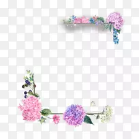 边框花卉设计花卉剪贴画形象花