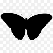 毛茸茸的蝴蝶，字体轮廓。蝴蝶