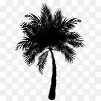 亚洲帕尔米拉棕榈枣图形棕榈树剪贴画