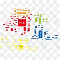 生物信息学生物科学研究信息.同意信息图