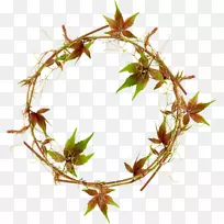 秋季图像png网络摄影设计.折射背景