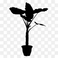 植物茎多年生植物繁殖藤本植物
