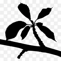 嫩枝花卉植物茎叶剪贴画