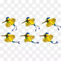 蜂鸟Cygnini鹅喙