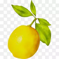 柠檬柠檬酸玉祖