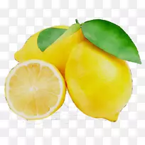 柠檬钥匙柠檬香橙朗格普尔