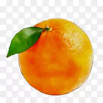 克莱门汀，橘子，柚子，橘子