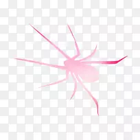 昆虫桌面壁纸电脑字体粉红色m