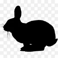 复活节兔子图形剪贴画.xchng