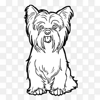 约克郡小猎犬，苏格兰猎犬，西高地白狗，剪贴画-小狗