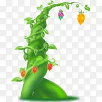 开花植物茎叶蔬菜.成象图