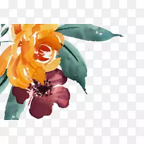 水彩画：花卉水彩画图形绘画