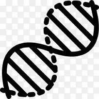DNA科学遗传学核酸结构生物学降凝象形图