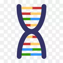 dna突变遗传学剪贴画基因测试.dnapng横幅
