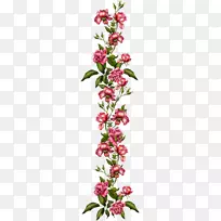 剪贴画png图片图像绘制水彩：花卉.配饰