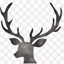 鹿角花设计驼鹿圣诞日鹿角设计元素