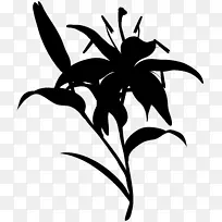 剪贴画叶字植物茎线