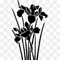 花卉设计视觉艺术插画