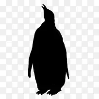 企鹅动物群剪影地鸟喙