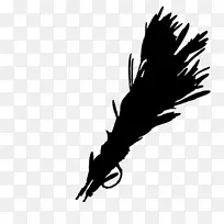 秃鹰，喙，羽毛笔